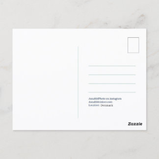 Elephant Tree Postcard ポストカード