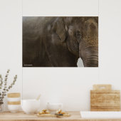 Elephant Up-Close ポスター (キッチン)