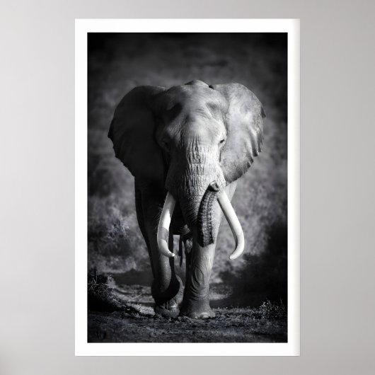 Elephant Wall Art Minimalist Black & White ポスター (正面)