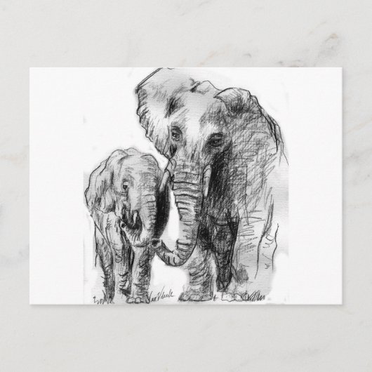 elephantonajourney ポストカード (正面)