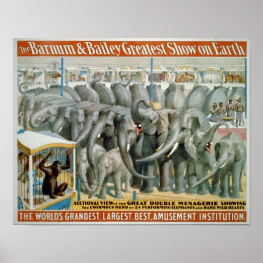 Elephants and Double Menagerie Circus Poster ポスター (正面)