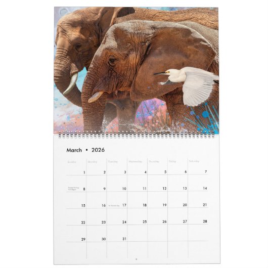ELEPHANTS ART #1 CALENDAR カレンダー (3月 2026)