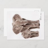 elephants post card ポストカード (正面/裏面)
