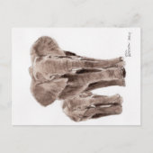 elephants post card ポストカード (正面)