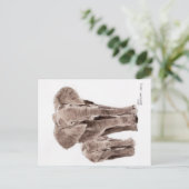 elephants post card ポストカード (スタンド正面)