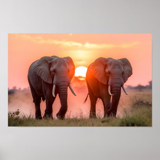 Elephants Walking in Sunset ポスター (正面)
