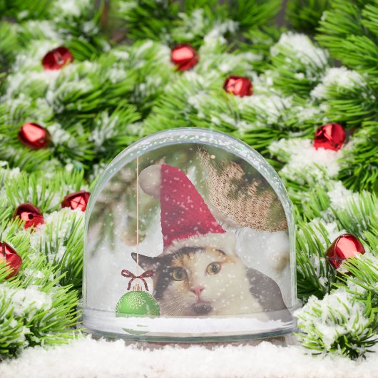 Elf Cat Merry Christmas (クリスマス)