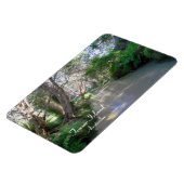 Eli Creek Fraser Island、オーストラリア、Premium Magnet マグネット (左側)