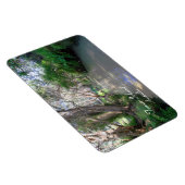 Eli Creek Fraser Island、オーストラリア、Premium Magnet マグネット (右側)