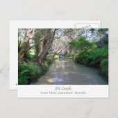 Eli Creek, Fraser Island, Australia – はがき (正面/裏面)