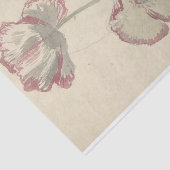 Elias van Nijmegenによるポピーの二つの勉強 薄葉紙 (詳細)