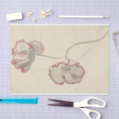 Elias van Nijmegenによるポピーの二つの勉強 薄葉紙 (クラフト)