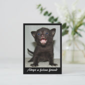 Eline Friendポストカードを採用 ポストカード (スタンド正面)