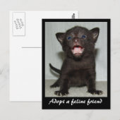 Eline Friendポストカードを採用 ポストカード (正面/裏面)