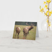 Elkノートカード カード (黄色い花)