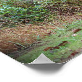 Elkポスター ポスター (角)