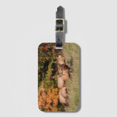 Elkラゲッジタグ ラゲッジタグ (正面縦)