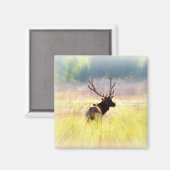 Elk "振り返る" マグネット (正面/裏面)