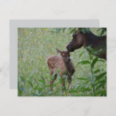 Elk and Calf – Great Smoky Mountains Wildlife ノートカード (正面/裏面)