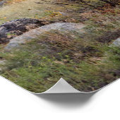Elk bugling in Rocky Mountain National Park Print ポスター (角)