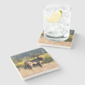 Elk Coasters / Bull Elk in Colorado /《植物》アスペンのElk ストーンコースター (横)
