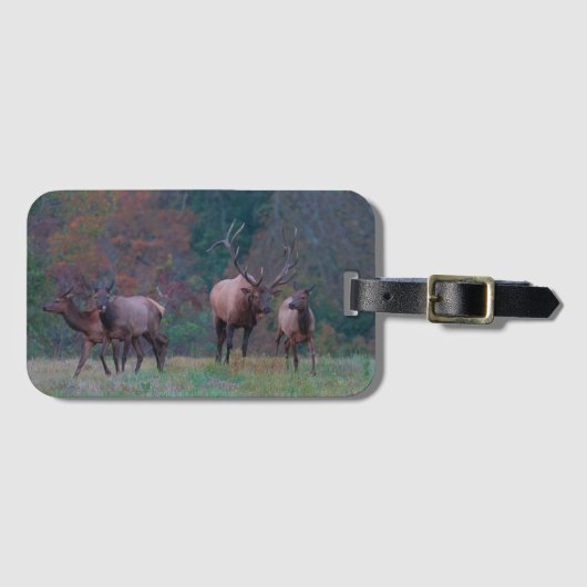 Elk Luggage Tag ラゲッジタグ (正面横)