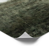 Elk P2799プリント ポスター (角)