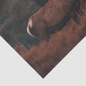 Elk Tissue Paper 薄葉紙 (詳細)