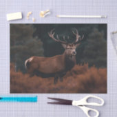 Elk Tissue Paper 薄葉紙 (クラフト)