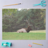 Elk Tissue Paper 薄葉紙 (クラフト)