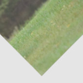 Elk Tissue Paper 薄葉紙 (詳細)