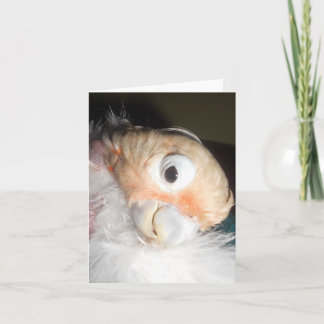 Ellaの魅力 カード