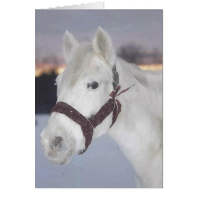 Ellaカード (正面)