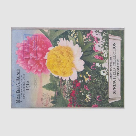 Ella Bainesのティッシュペーパーの旧式なシャクヤク 薄葉紙 (正面)