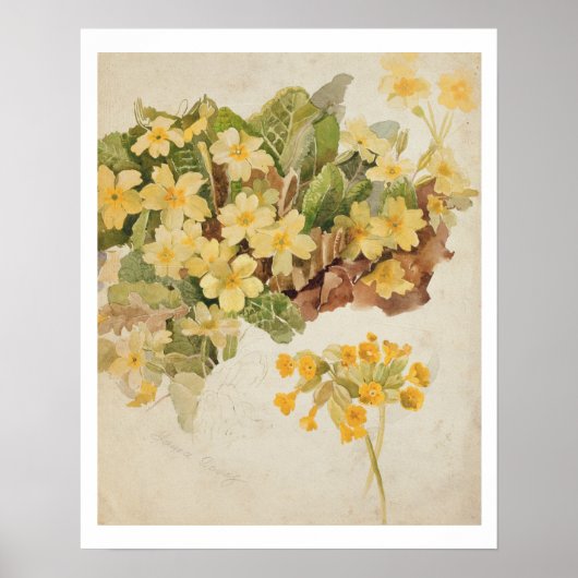 Ellen Terry (1847-1928)はCordeliaとして、写真の後 ポスター (正面)