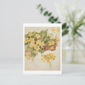 Ellen Terry (1847-1928)はCordeliaとして、写真の後 ポストカード (スタンド正面)