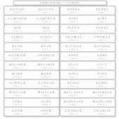 Ellesmereエスコートカードストローフラッグドリンクラベル シール (正面)