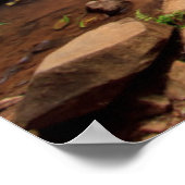 Ellinjaa waterfall(オーストラリア) ポスター (角)