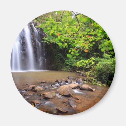 Ellinjaa waterfall(オーストラリア) マグネット (正面)