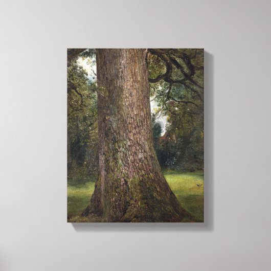 Elmツリーのトランクの勉強, c.1821 (油 キャンバスプリント (正面)