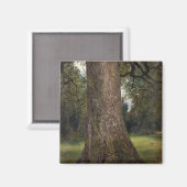 Elmツリーのトランクの勉強, c.1821 (油 マグネット (正面/裏面)