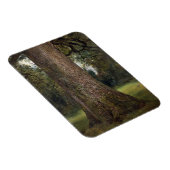 Elmツリーのトランクの勉強, c.1821 (油 マグネット (右側)