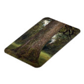 Elmツリーのトランクの勉強, c.1821 (油 マグネット (左側)