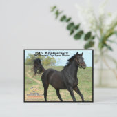 Elmhurst - 「97匹の繁殖動物」のコップのスプリントの勝者 ポストカード (スタンド正面)