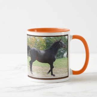 Elmhurst - 「97匹の繁殖動物」のコップのスプリントの勝者 マグカップ