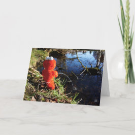 Elmo Plassend aan de waterrand. サンキューカード