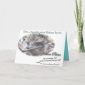 Elsieはカードカスタマイズ カード (裏面)