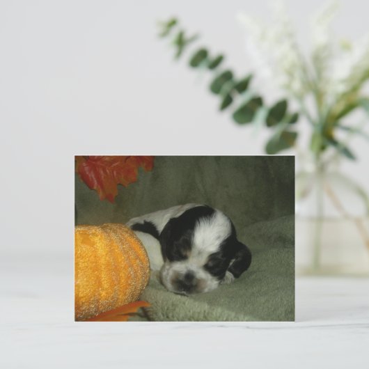 ELVIS、ブルーローアン&タンアメリカンコッカースパニエル犬カップ ポストカード (スタンド正面)