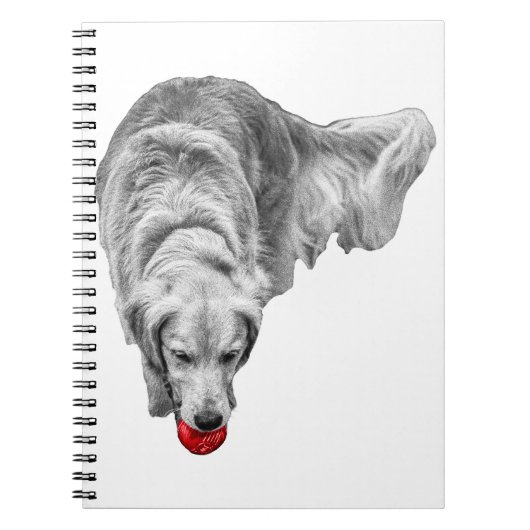 Ember反射を取り込む ノートブック (正面)