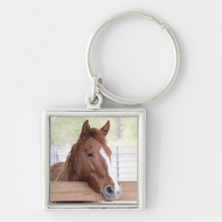 Ember – キーチェーン